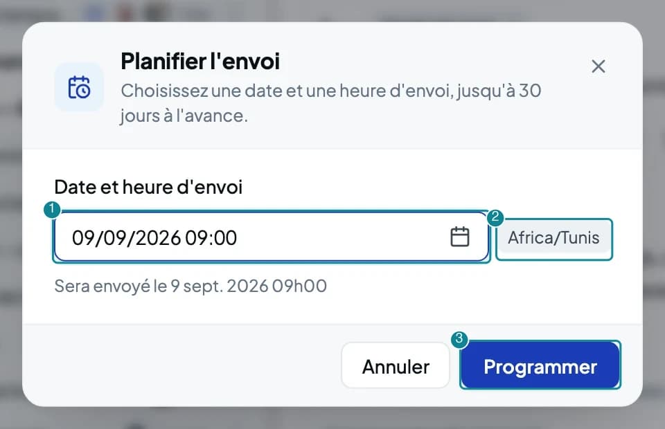 La fenêtre Planifier l'envoi avec la date, l'heure et le fuseau horaire.